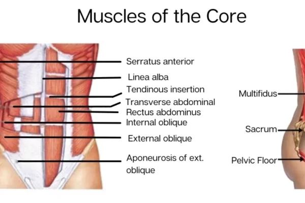 co-core-la-gi-cac-bai-tap-pilates-tang-cuong-co-cot-loi-1