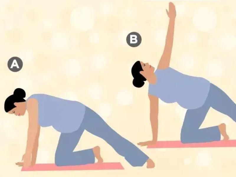 Bài tập Cánh tay kiếm
