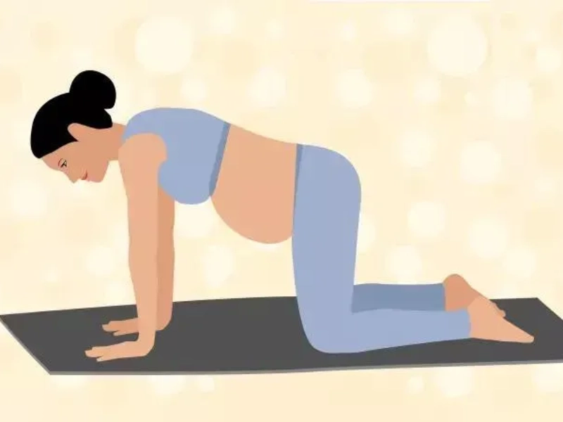 Bài tập Cat Stretch