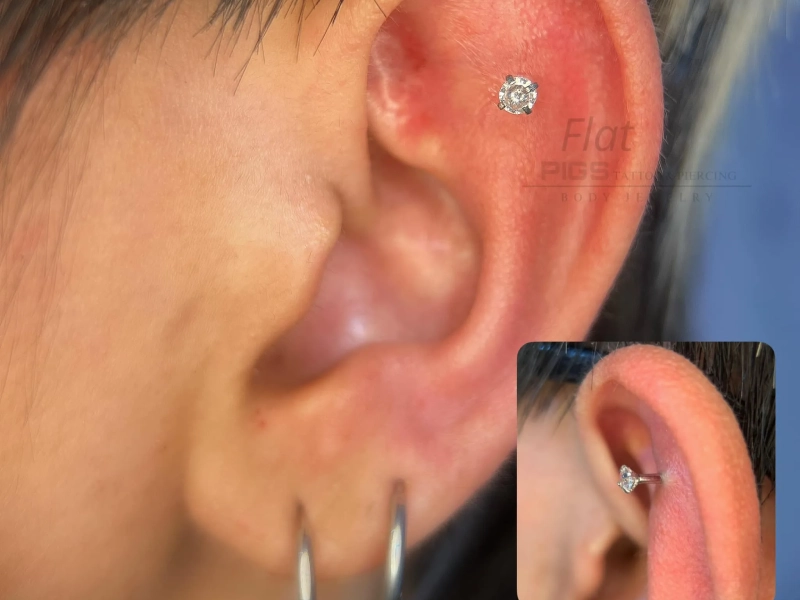 Xỏ Khuyên - Pigs Piercing