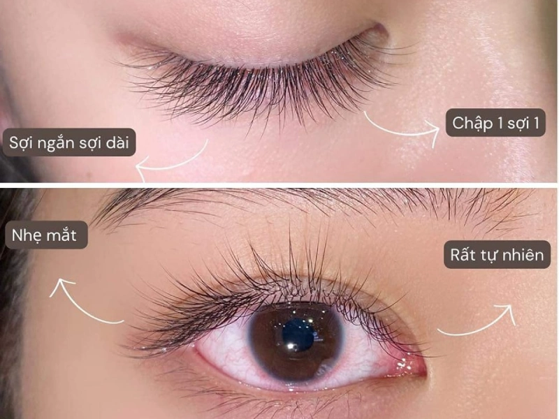 Salon Nối Mi Mít