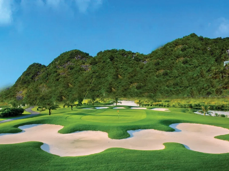 Sân Golf Đồi Rồng