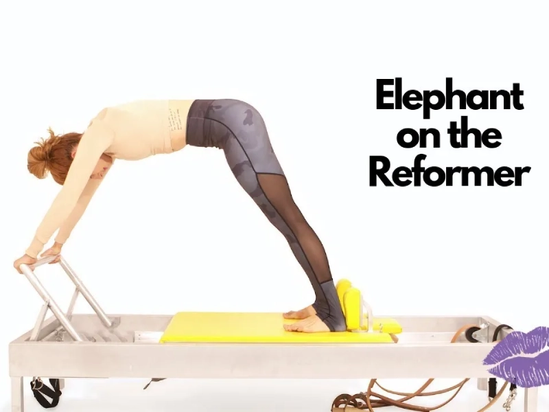 Bài tập Pilates Elephant trên Reformer
