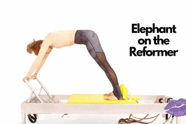 bai-tap-pilates-elephant-tren-reformer-1