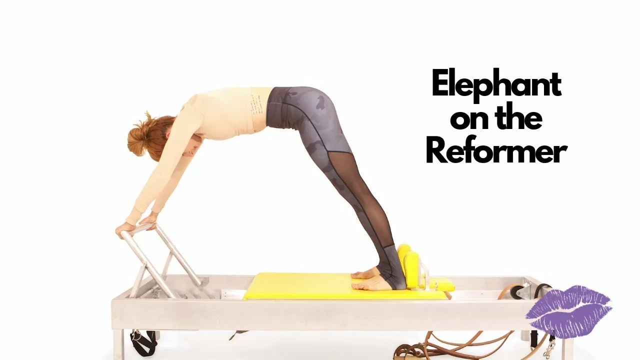 bai-tap-pilates-elephant-tren-reformer-1