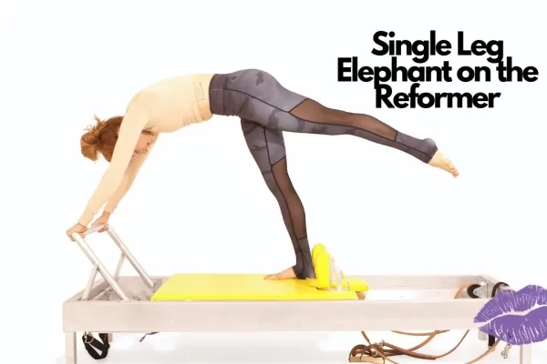 bai-tap-pilates-single-leg-elephant-tren-reformer-1