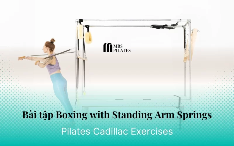 Bài tập Pilates Boxing with Standing Arm Springs trên Cadillac - MBS ...
