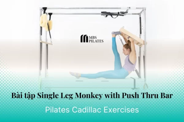 bai-tap-pilates-chest-expansion-with-arm-springs-tren-cadillac