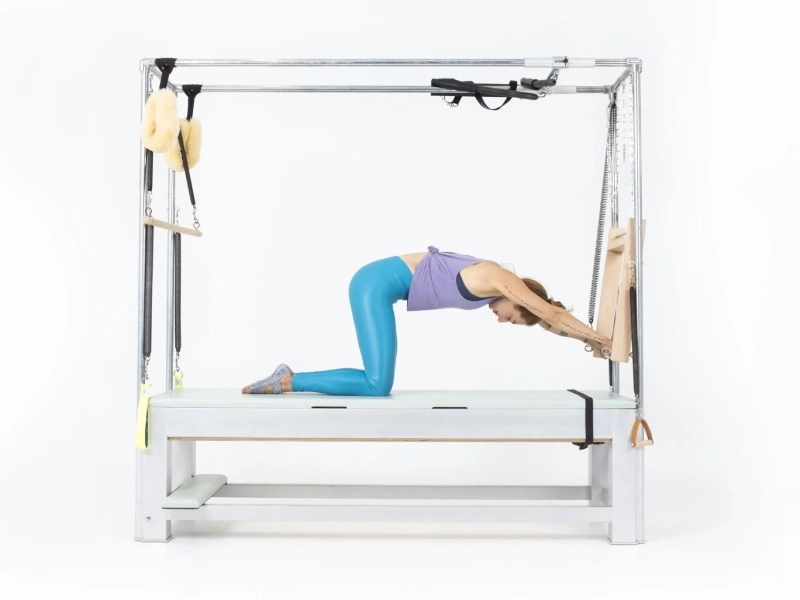 Lợi ích của bài tập Kneeling Push Thru trên Cadillac