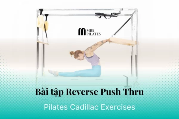 bai-tap-pilates-reverse-push-thru-tren-cadillac