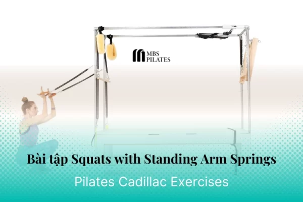 bai-tap-pilates-squats-with-standing-arm-springs-tren-cadillac