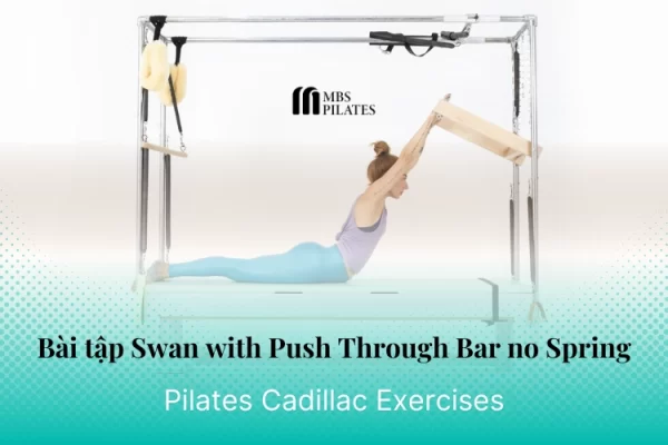 bai-tap-pilates-swan-with-push-through-bar-no-spring-tren-cadillac