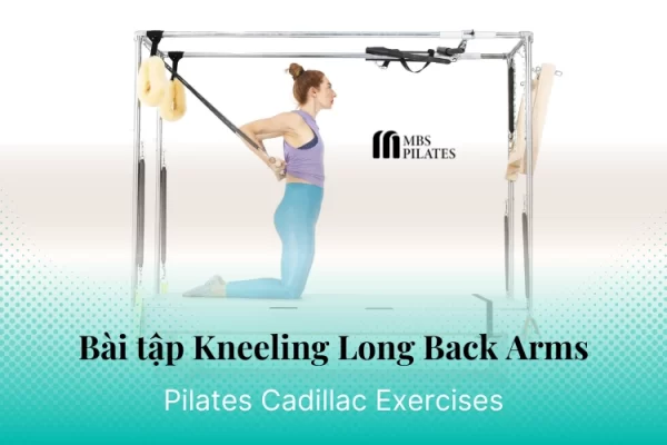 bai-tap-pilates-kneeling-long-back-arms-tren-cadillac