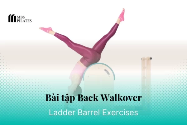 bai-tap-pilates-back-walkover-tren-ladder-barrel