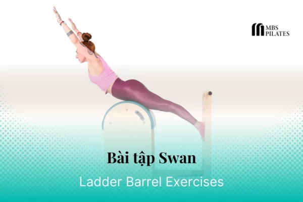 bai-tap-pilates-swan-tren-ladder-barrel