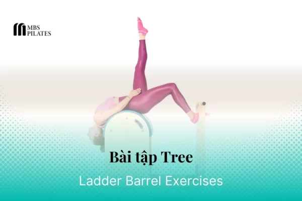 bai-tap-pilates-tree-tren-ladder-barrel