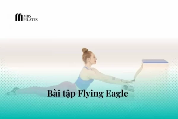 Khám phá bài tập Pilates Flying Eagle trên Cadillac và Wunda Chair