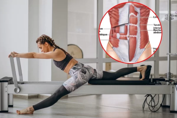 Điểm danh các loại cơ trên cơ thể thường bị bỏ qua khi tập Pilates