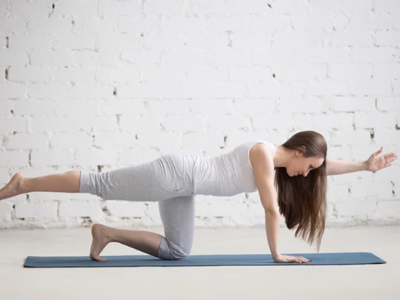 Pilates Kneeling Rear Leg Raise