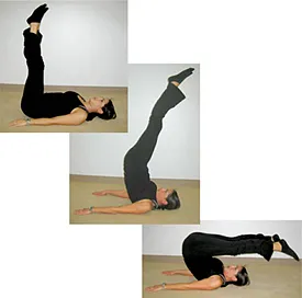 How to perform the Jackknife exercise.