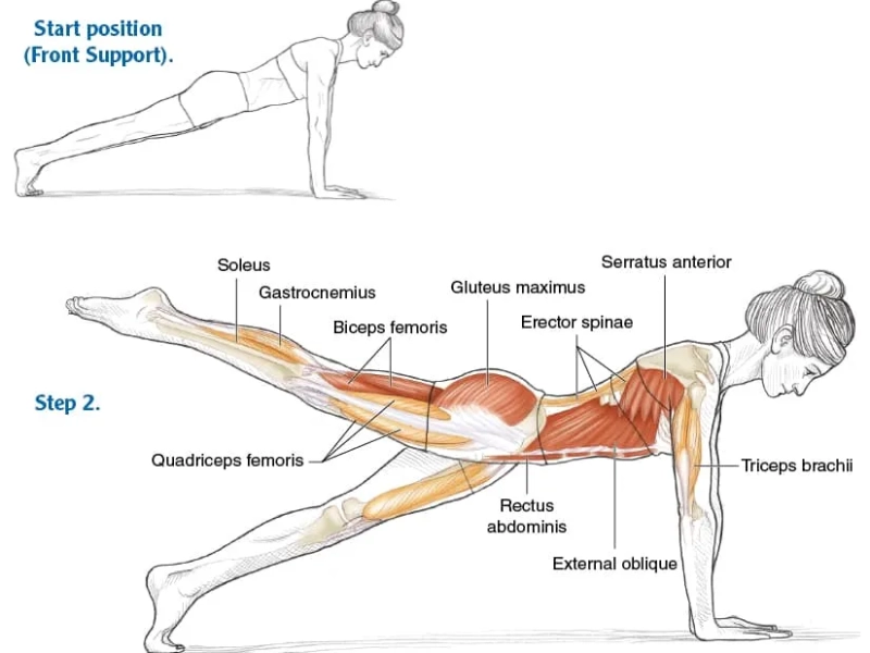 Steps to perform the Pilates Leg Pull Front exercise.